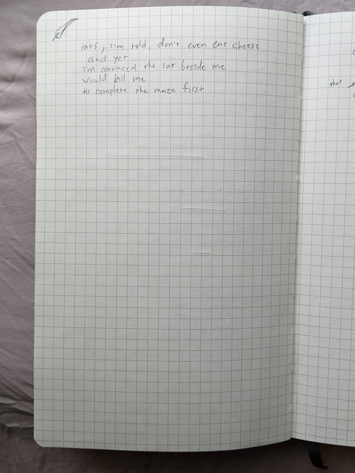 page of a notebook with messy handwriting